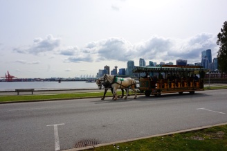 Stanley Park Horse-Drawn Carriage Driving tour, Vancouver, Canada