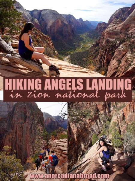 Hiking Angel's Landing in Zion National Park, USA - here's everything you need to know about this iconic, beautiful hike!