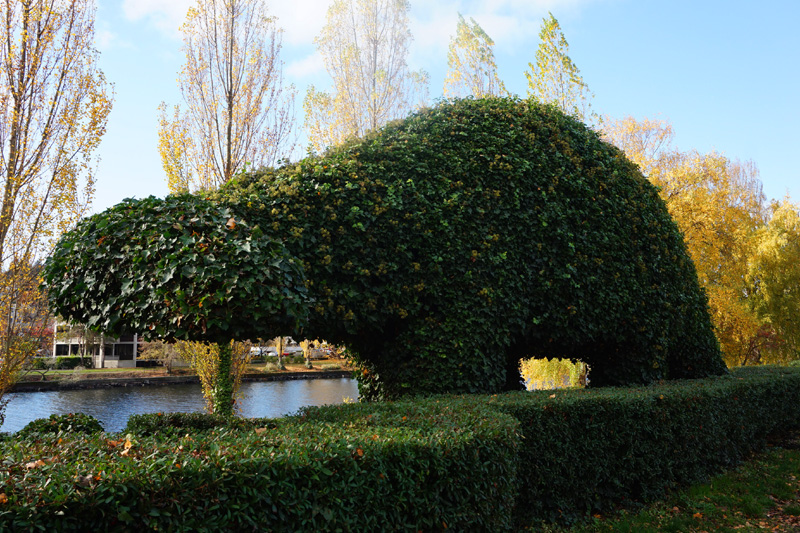 Dinosaur hedge, Fremont, Seattle, USA