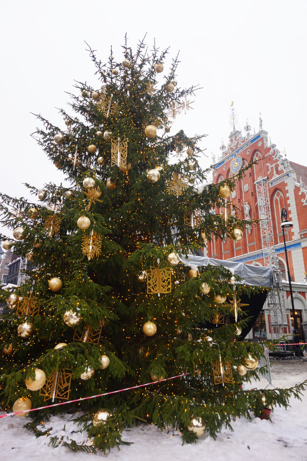 Christmas tree by the House of the Blackheads, Riga, Latvia