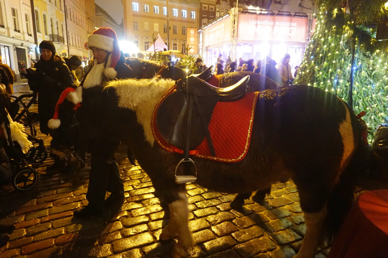 Pony rides at the Riga Christmas markets, Riga, Latvia